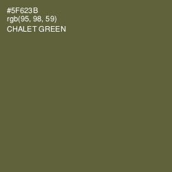 #5F623B - Chalet Green Color Image